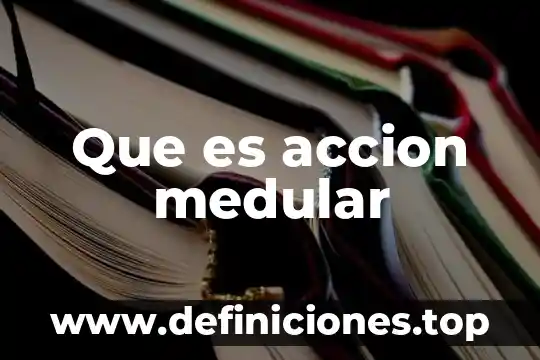 Acción rescisoria que es 5 Que es accion medular