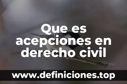 Derecho civil que es persona 6 Que es acepciones en derecho civil