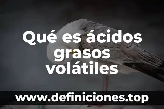 Qué es ácidos nucleicos 5 Qué es ácidos grasos volátiles