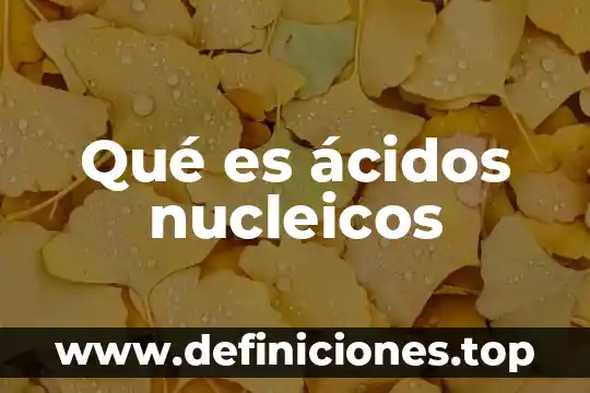 Qué es ácidos proteína 3 Qué es ácidos nucleicos