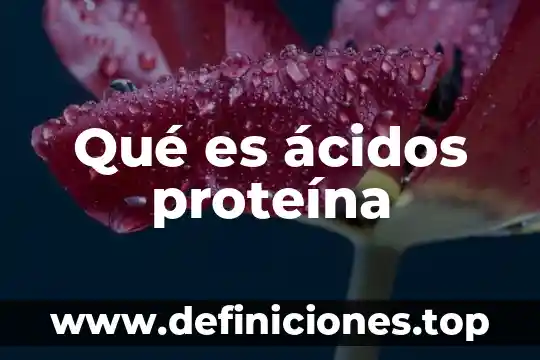 Qué es ácidos nucleicos 3 Qué es ácidos proteína