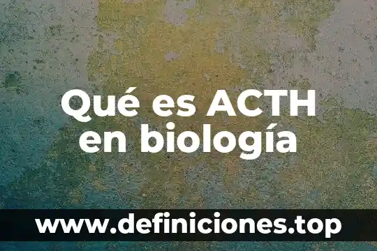 Qué es el nucleolo biología 5 Qué es ACTH en biología