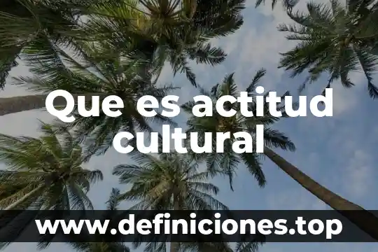 Actitud regiocéntrica que es 5 Que es actitud cultural