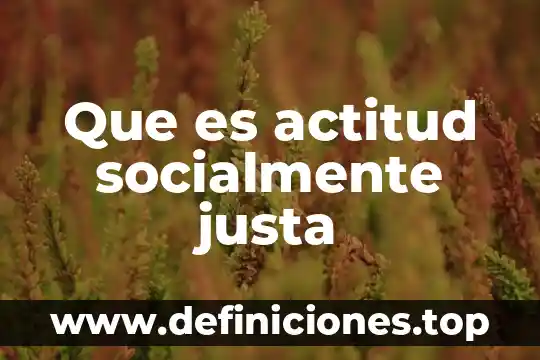 Que es una sociedad igualitaria y justa 3 Que es actitud socialmente justa