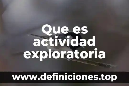 Que es firma firma en razones de actividad 4 Que es actividad exploratoria