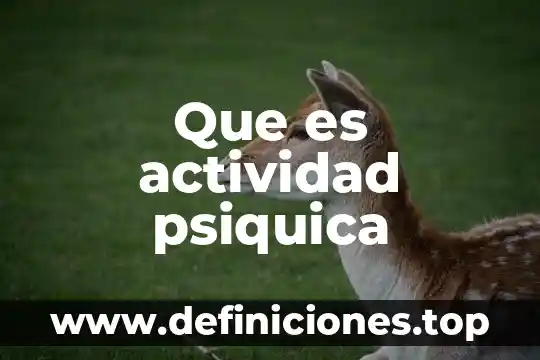 Que es productividad por especializacion 3 Que es actividad psiquica