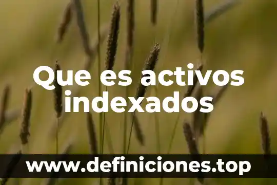Revaluación de activos fijos que es 6 Que es activos indexados