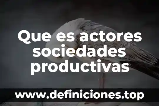 Que es una ley general de sociedades mercantiles 5 Que es actores sociedades productivas