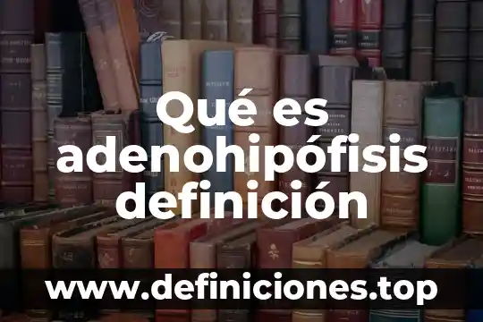 Qué es adenohipófisis definición