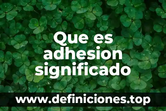 Que es adhesion significado