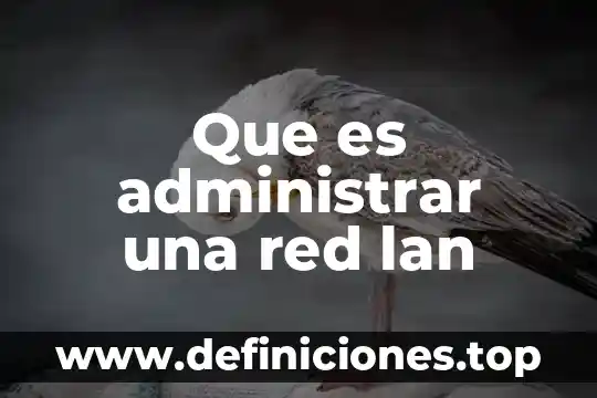 Que es el administrar 5 Que es administrar una red lan