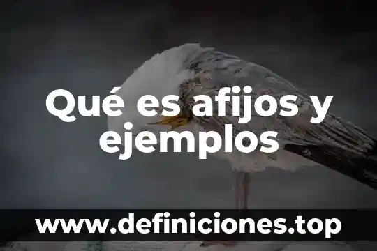 Que es un ciclo biogeoquimico ejemplos 5 Qué es afijos y ejemplos