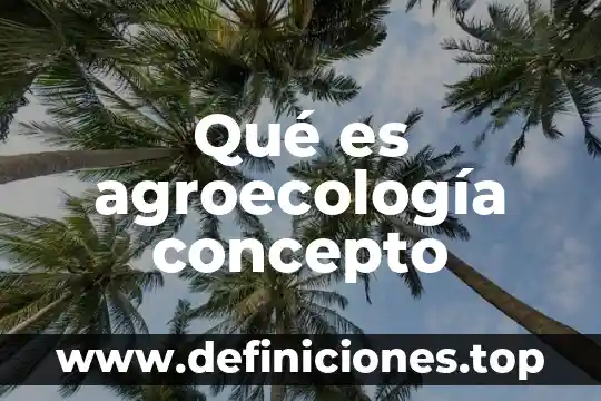 Que es trabado ciencias concepto 7 Qué es agroecología concepto