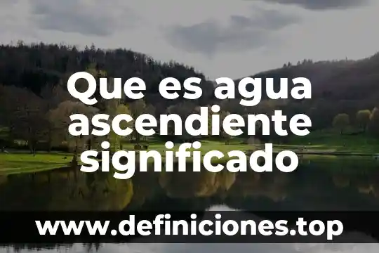 Qué es QUID significado 6 Que es agua ascendiente significado