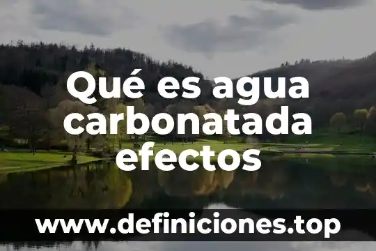 Qué es agua carbonatada efectos