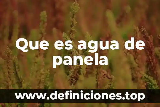 Que es agua de panela