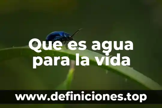 Que es agua para la vida