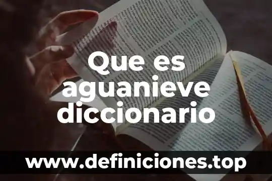 Que es zarpazo diccionario 6 Que es aguanieve diccionario