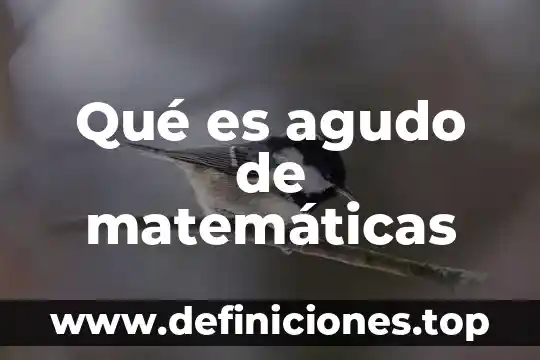 Qué es término en matemáticas 4 Qué es agudo de matemáticas