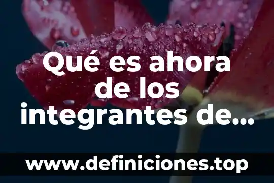 Ahora explicame que es lo que quieres 4 Qué es ahora de los integrantes de Queen