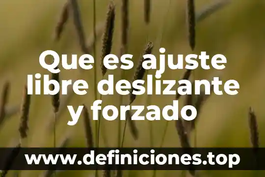 Que es un diagrama de flujo caracteristicas en informatica 4 Que es ajuste libre deslizante y forzado