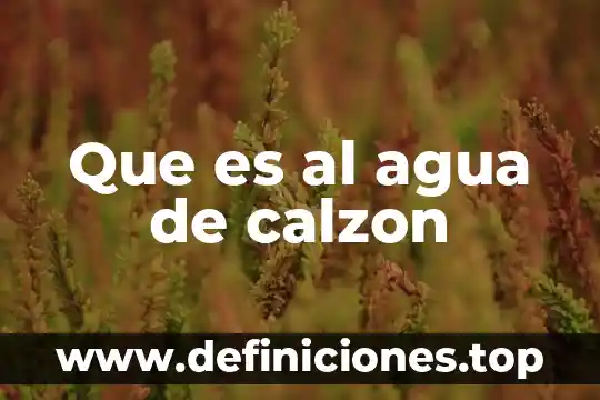 Que es al agua de calzon