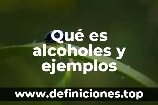 B2b que es y ejemplos 8 Qué es alcoholes y ejemplos
