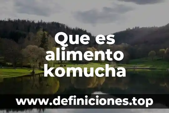 Que es lejonominoza y alimento di domenico 7 Que es alimento komucha