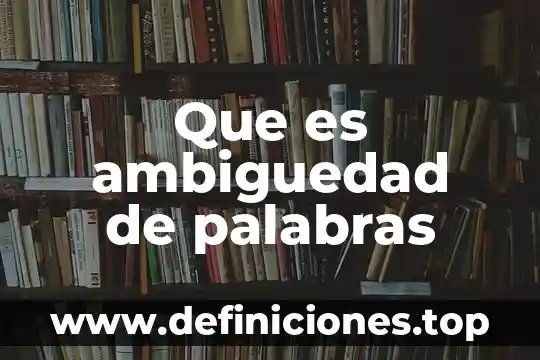 Explique con sus palabras que es el lean supply chain 8 Que es ambiguedad de palabras
