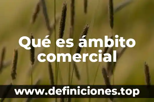 Qué es ámbito comercial