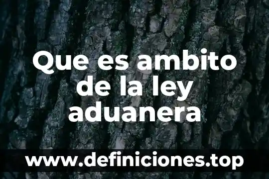 Que es umbral en materia aduanera 5 Que es ambito de la ley aduanera