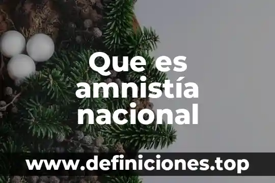 Que es amnistía nacional