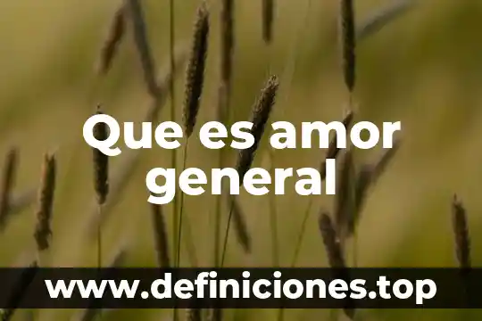 Qué es una institución en general 3 Que es amor general