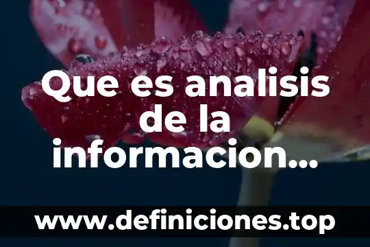 Que es analisis de la informacion trabajo de investigacion