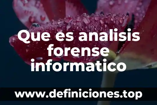Que es un analisis de los manuales administrativos 5 Que es analisis forense informatico