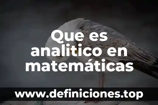 Qué es término en matemáticas 5 Que es analitico en matemáticas