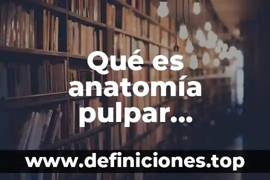 Qué es anatomía pulpar concepto