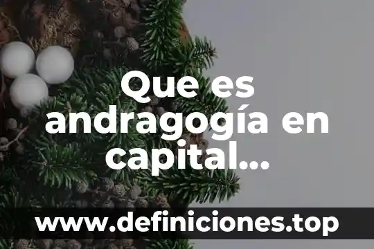 Que es el significado de baso 3 Que es andragogía en capital humano