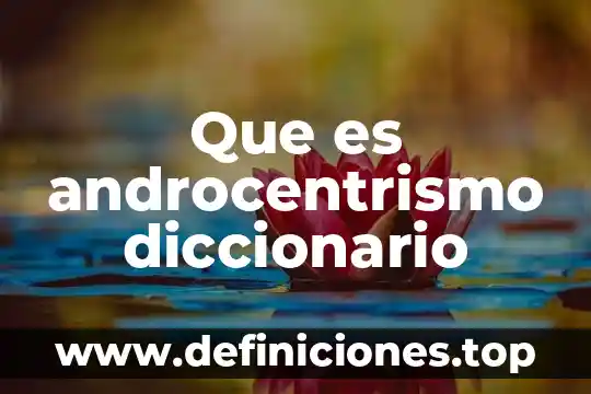 Que es plateros diccionario 4 Que es androcentrismo diccionario