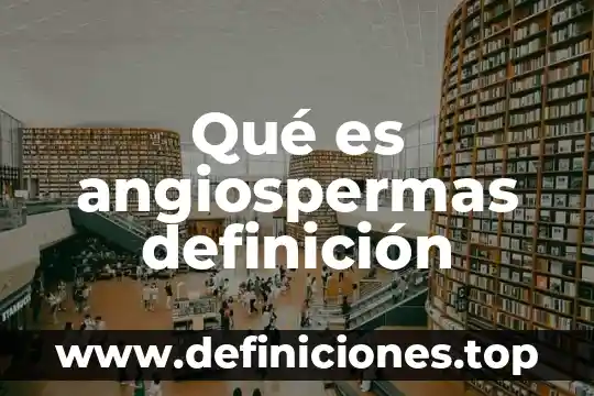 Qué es angiospermas definición