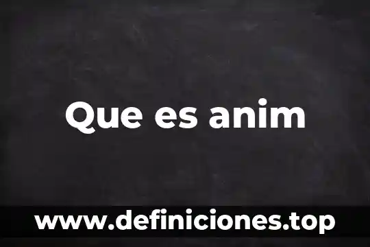 Que es anim