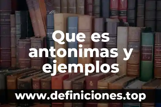 Que es antonimas y ejemplos
