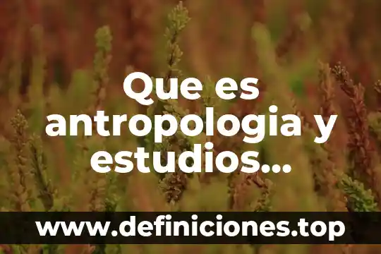 Aficionado de antropología que es 5 Que es antropologia y estudios culturales