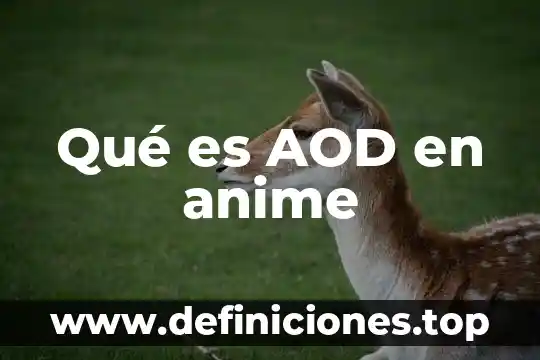 Qué es AOD en anime