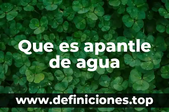Que es apantle de agua