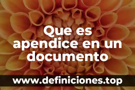 Que es apendice en un documento