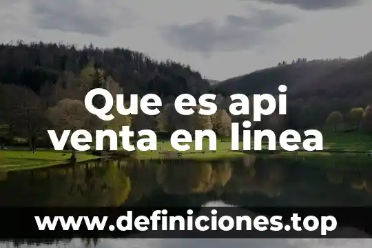 Que es la venta electronica 4 Que es api venta en linea