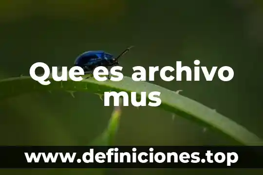 Que es area profecional de vinos 8 Que es archivo mus