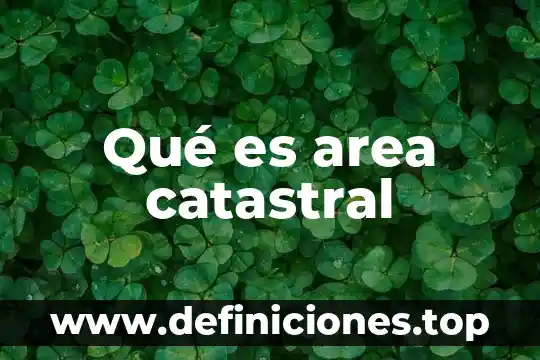 Que es el area del derecho 8 Qué es area catastral