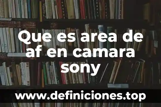 Qué es mejor Sony Xperia XZ o Huawei P9 6 Que es area de af en camara sony